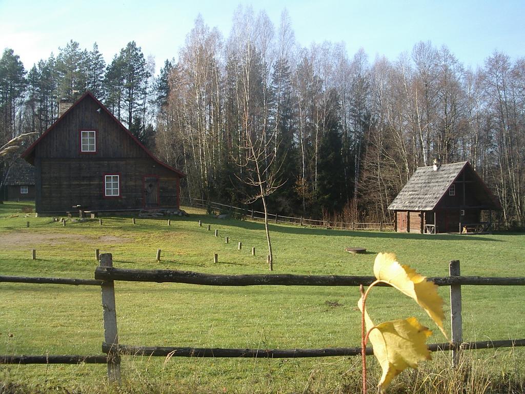 Labanoro Pasaka - Elenutes Namai Pension Berniunai Buitenkant foto